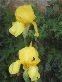 00422446-Picture 018.jpg